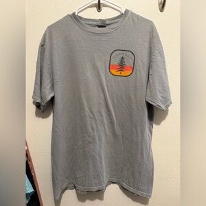 Gray Vermont Graphic Men's T-Shirt